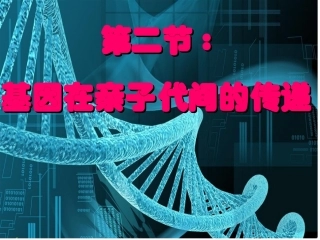 基因在子代间的传递