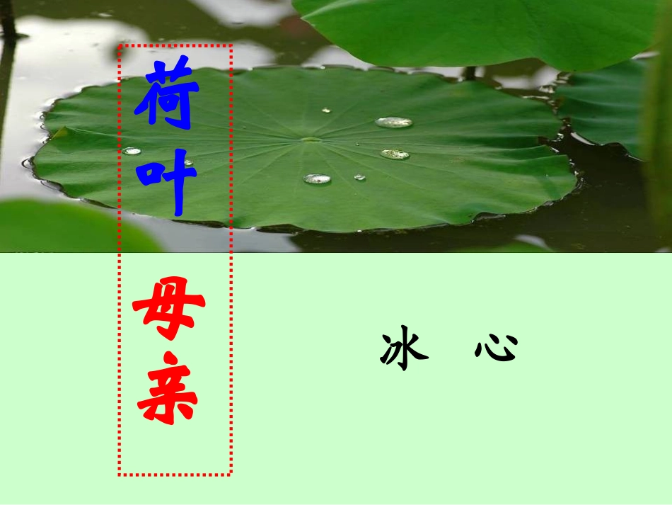 七上《荷叶母亲》课件_第1页