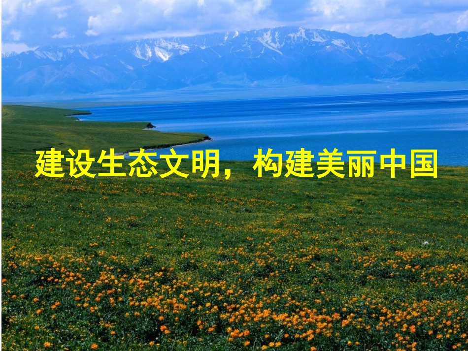 赵伟-获取和解读信息_第1页