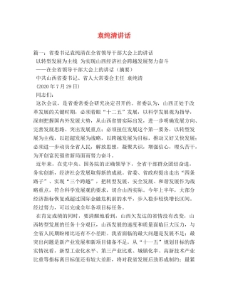 袁纯清讲话 