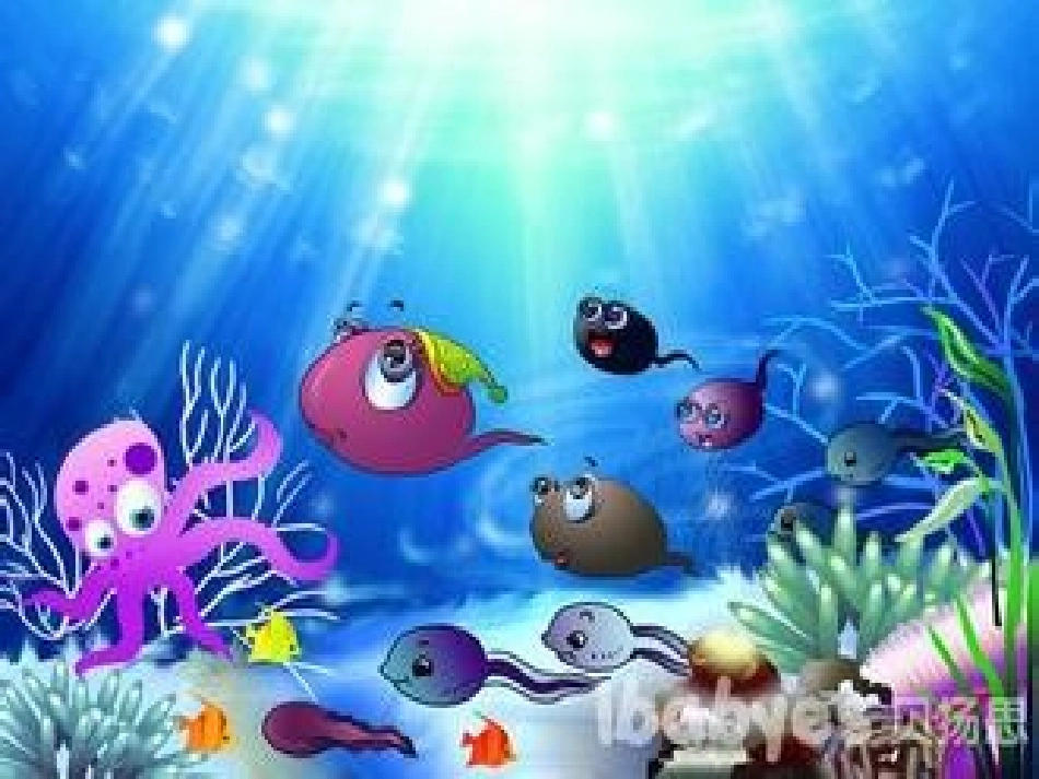 小蝌蚪找妈妈 (3)_第3页