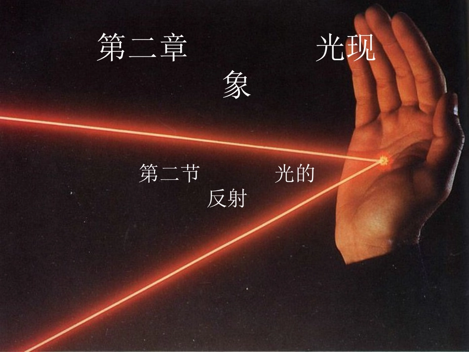 光的反射jsp_第1页