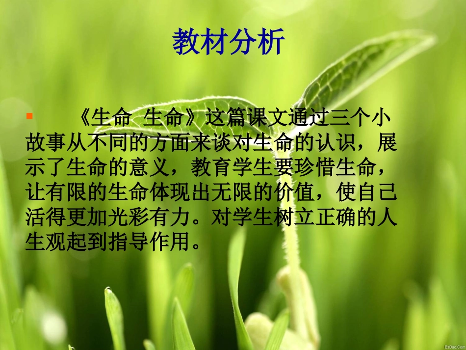 《生命_生命》课件_第2页