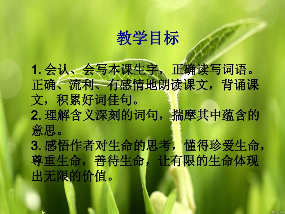 《生命_生命》课件_第3页