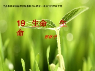《生命_生命》课件