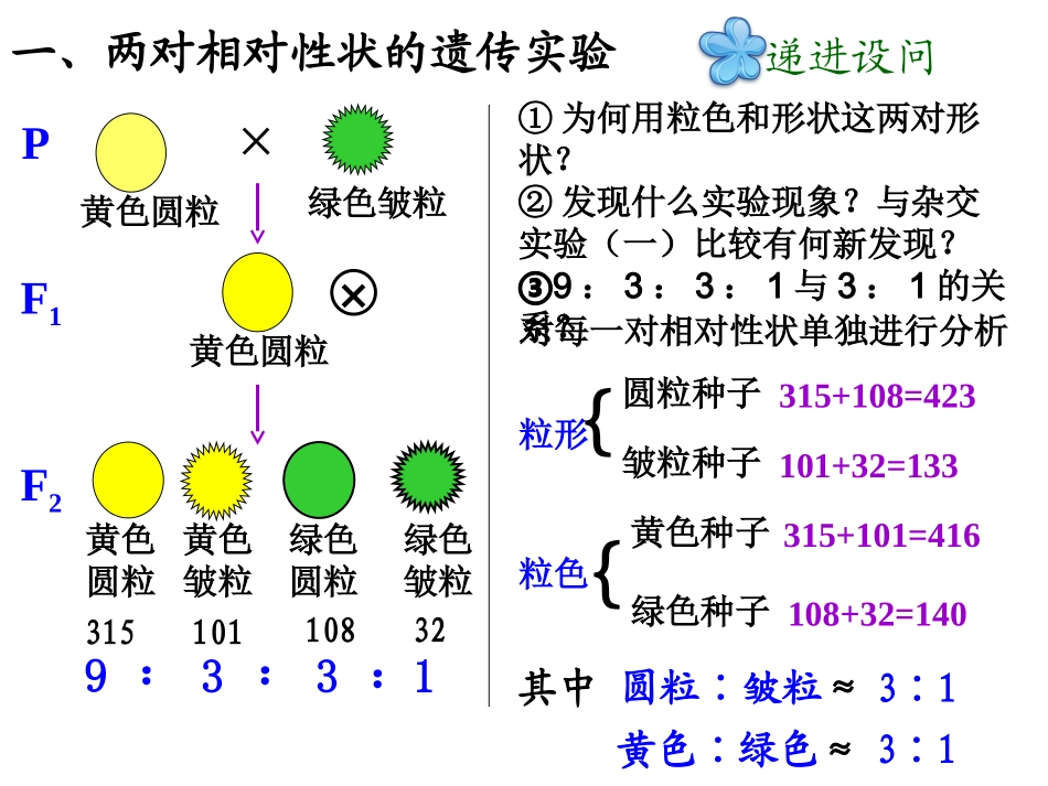 必修2：12孟德尔的豌豆杂交实验（二）2_第3页