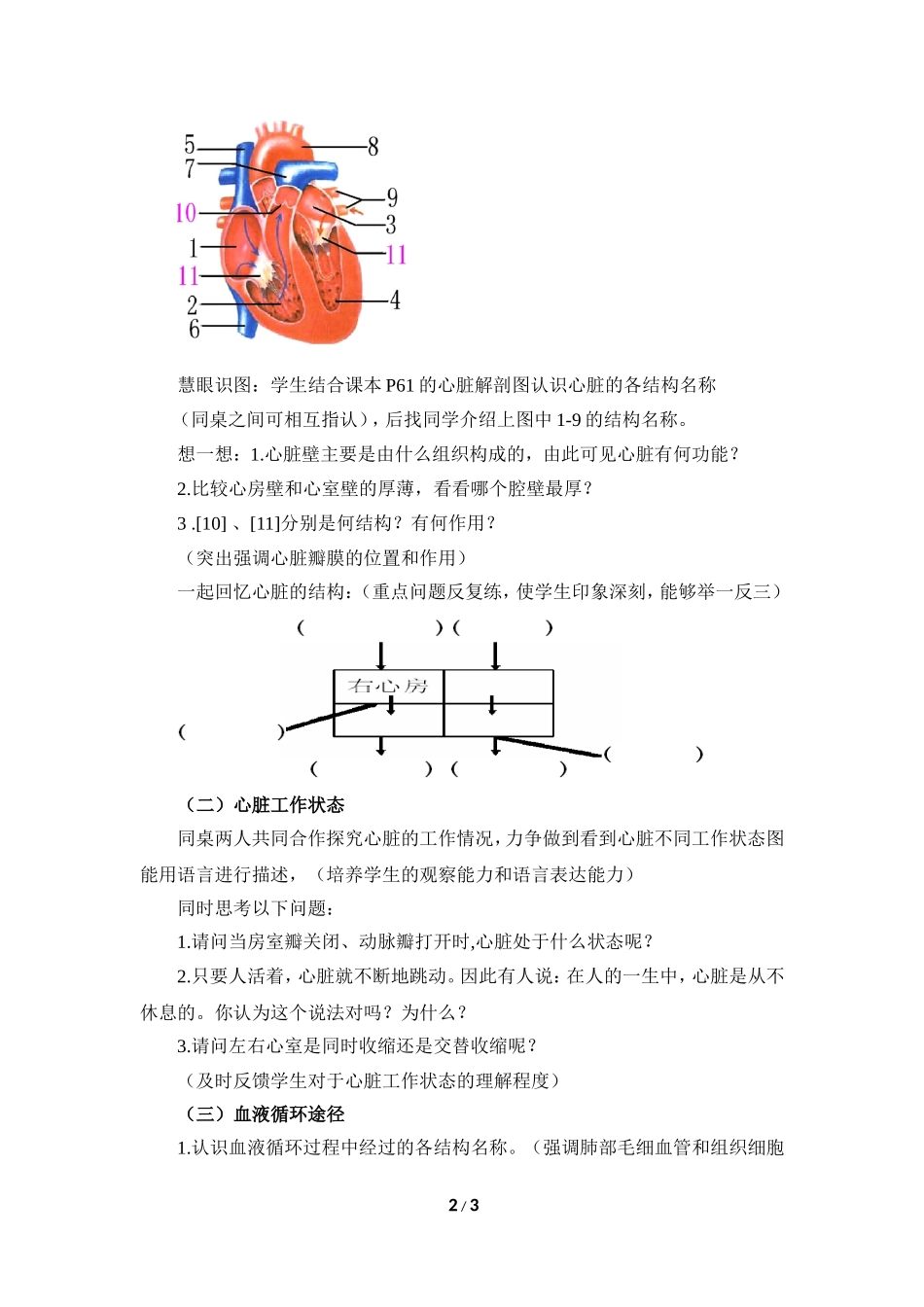 《输送血液的泵——心脏》教案_第2页
