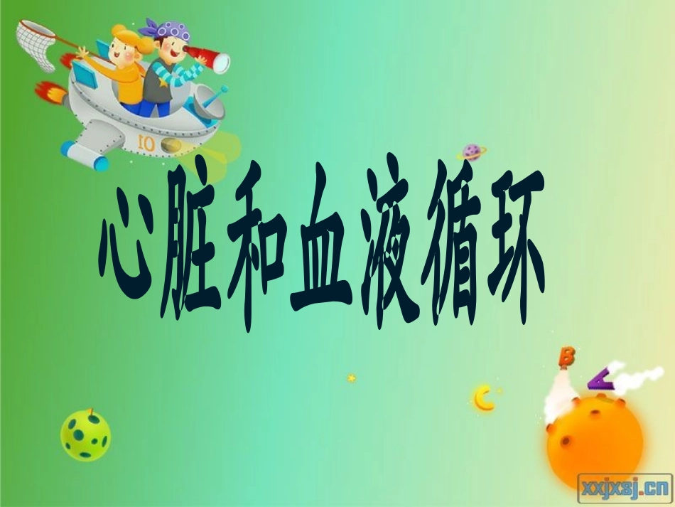 《心脏和血液循环》课件_第1页