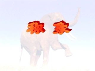 《称象》教学课件1