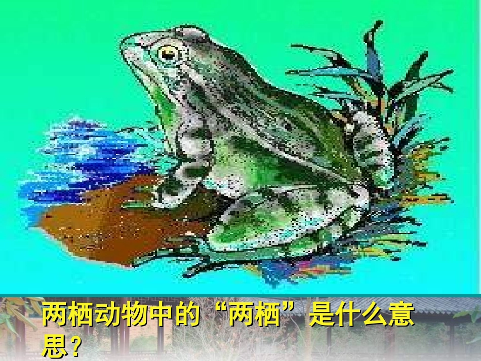 两栖动物的生殖和发育 (3)_第2页