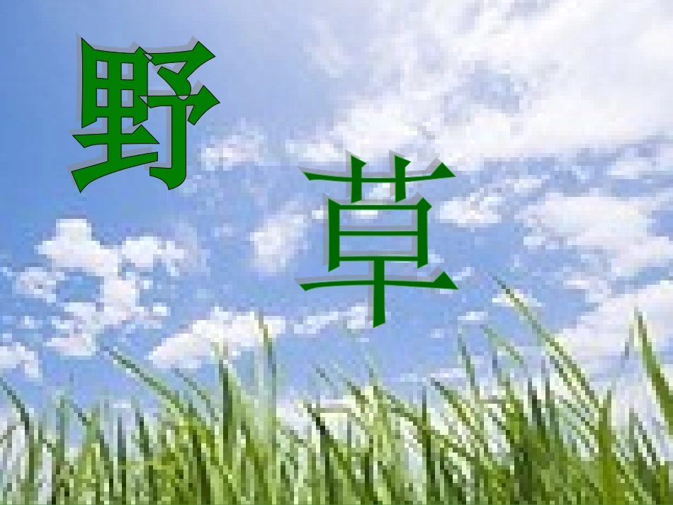 讲课用野草第二课时_第1页