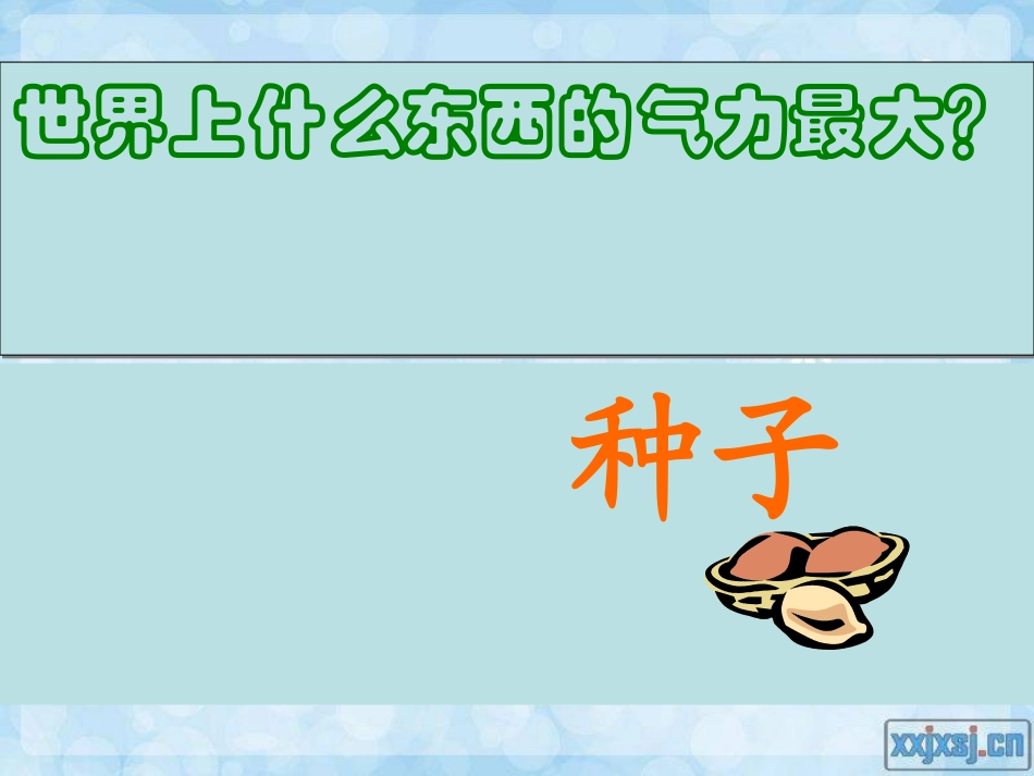 讲课用野草第二课时_第2页