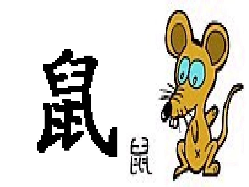 社会活动-十二生肖_第3页