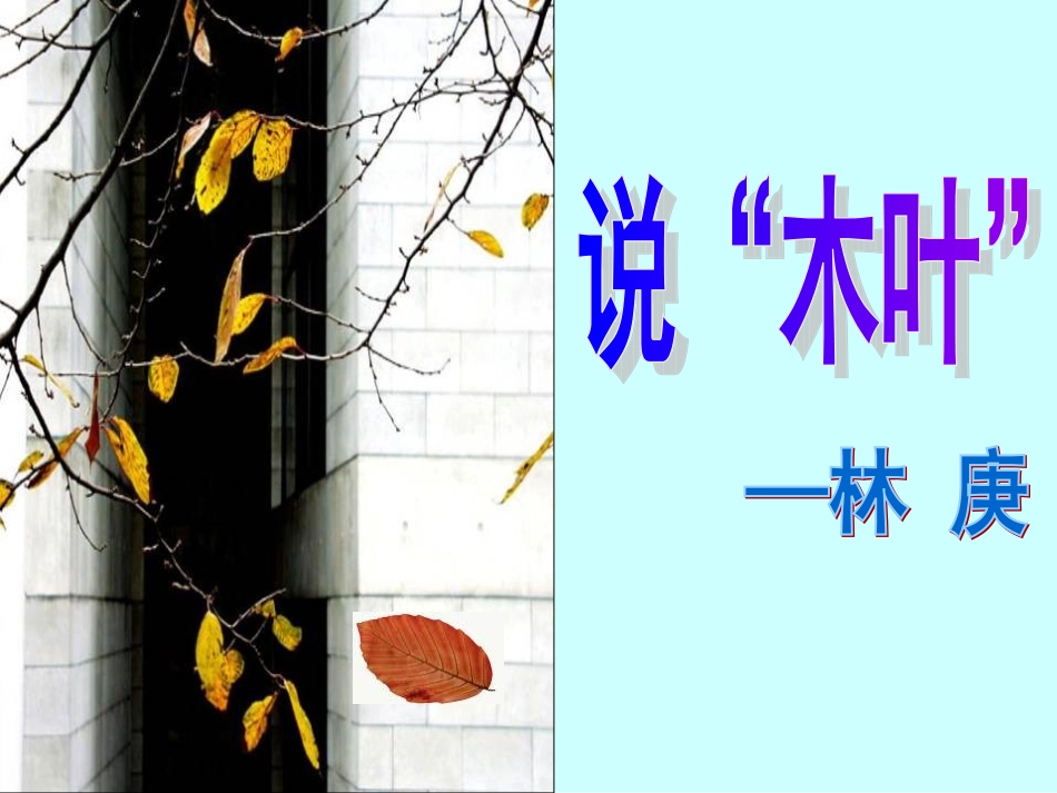 说木叶 (2)_第3页