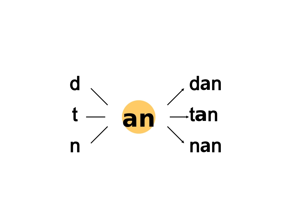 anenin课件_第3页