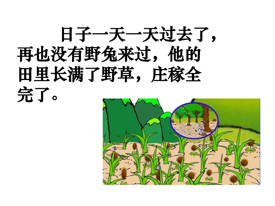 《守株待兔》课件_第2页