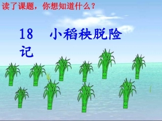 《小稻秧脱险记》课件