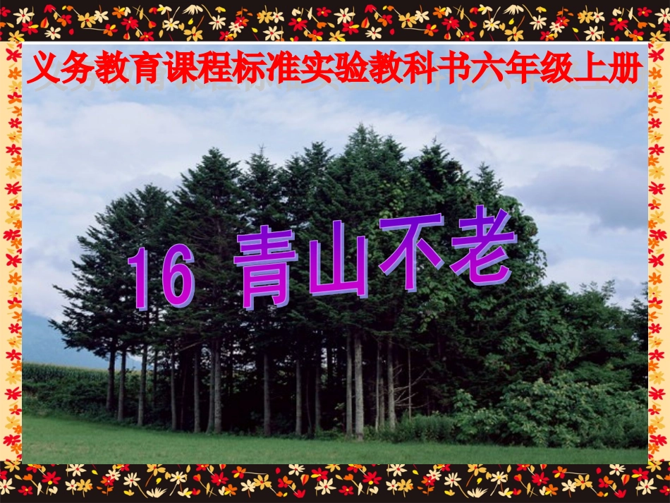 《青山不老》课件_第1页