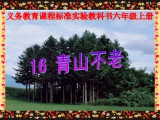 《青山不老》课件