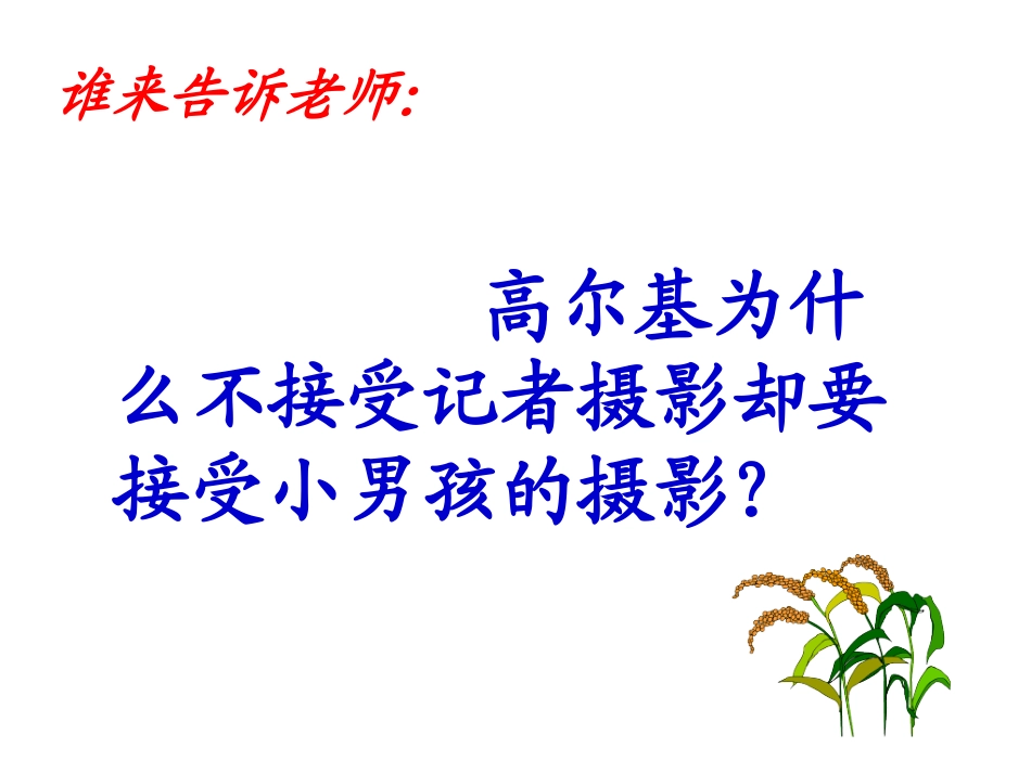 《小摄影师》PPT课件_第2页