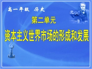【湖南师大附中内部资料】高一历史必修2课件：第8课第二次工业革命（新人教版）