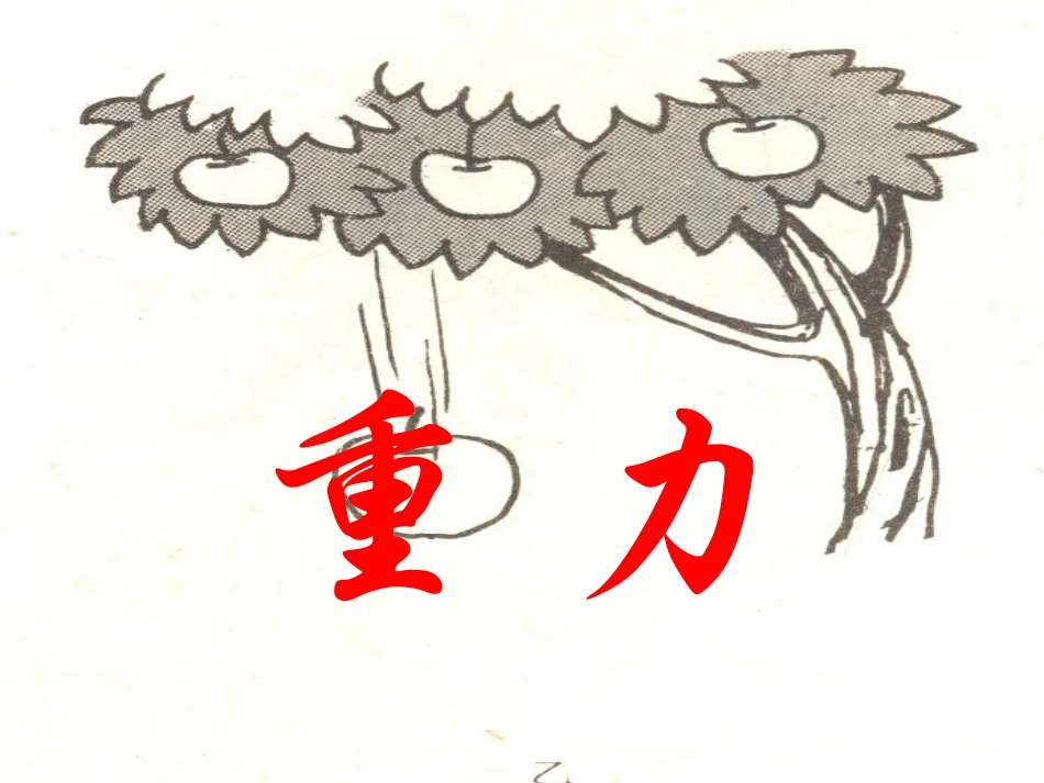 新人教版《73重力》_第3页