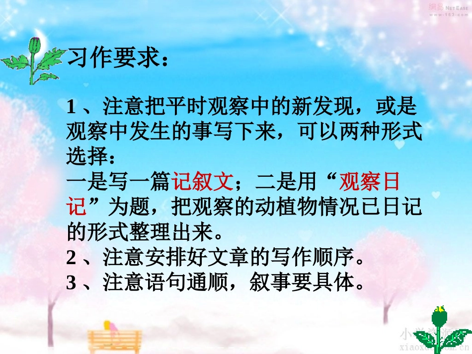 作文指导(泡豆芽观察日记)_第3页