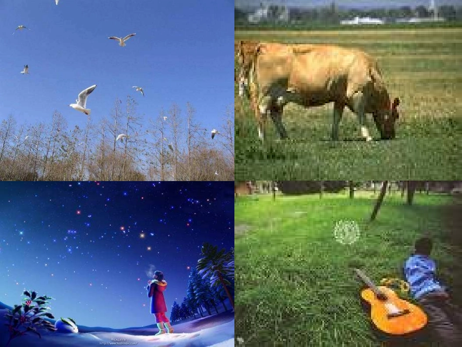 《和我们一样享受春天》_第2页