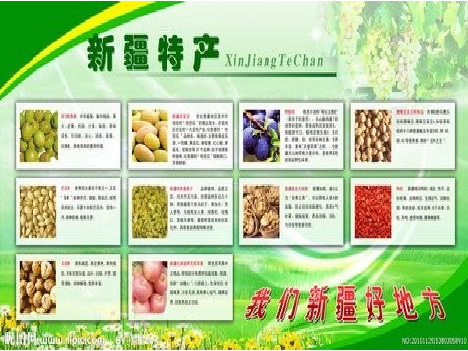 《库尔班大叔喜洋洋》_第3页