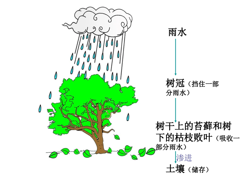 《云雀的心愿》第二课时PPT_第3页