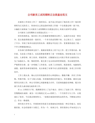 公司新员工试用期转正自我鉴定范文2 