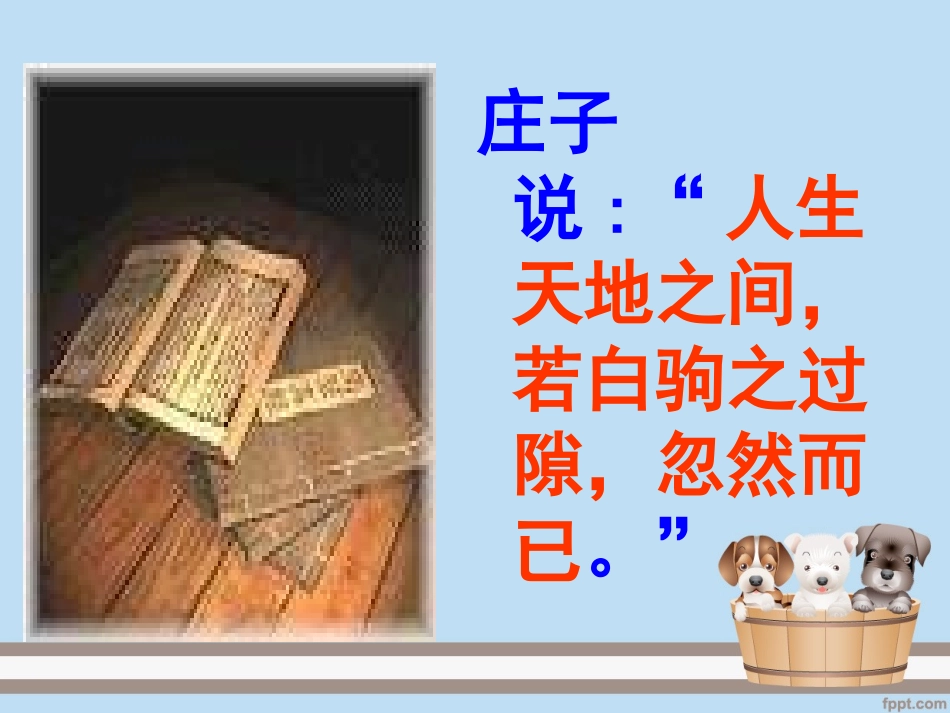 《人生》教学课件_第3页