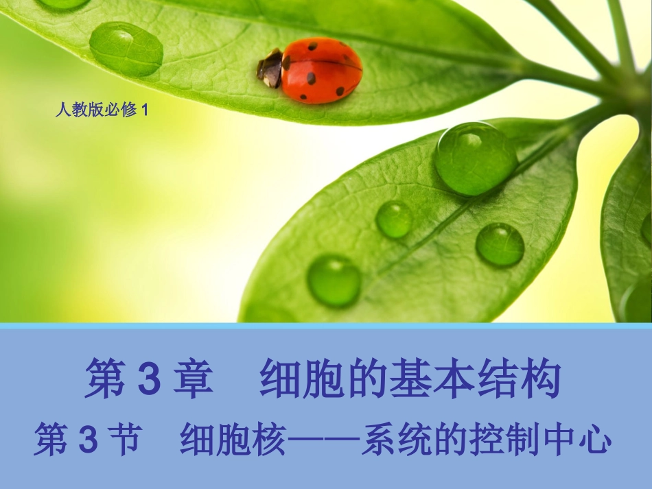 【生物】33细胞核——系统的控制中心课件1（人教版必修1）_第1页