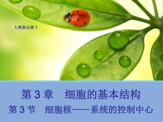 【生物】33细胞核——系统的控制中心课件1（人教版必修1）