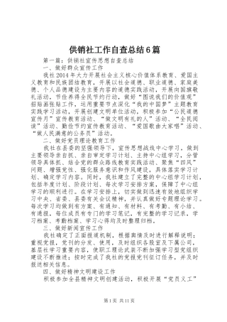 供销社工作自查总结6篇