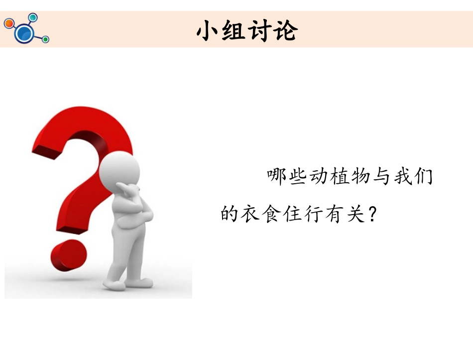 《做大自然的孩子》教学课件PPT_第2页
