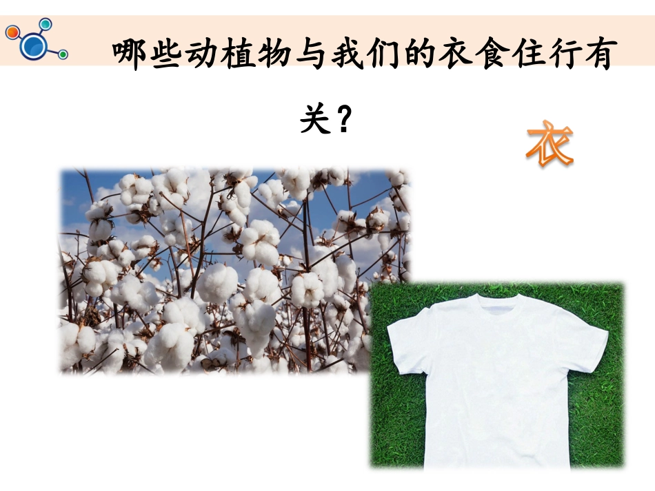 《做大自然的孩子》教学课件PPT_第3页