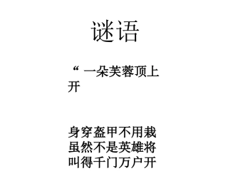 神奇的大公鸡 (3)