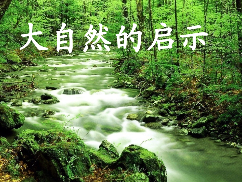《大自然的启示》 (2)_第1页