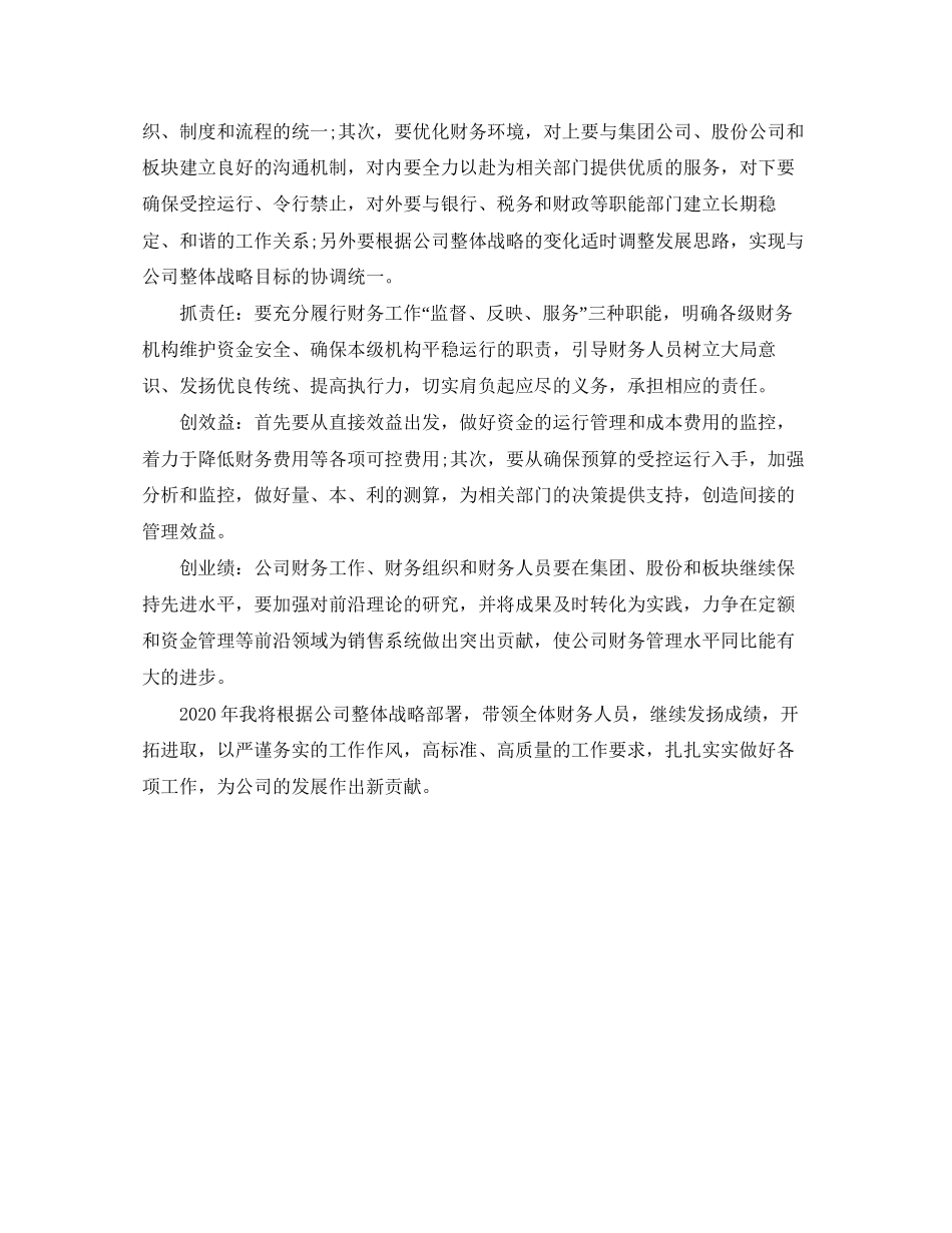 财务总监工作计划表格_第2页