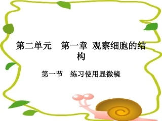 七年级生物上册-练习使用显微镜-课件