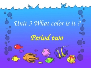 人教版新目标七年级上册starter32Whatcolorisit共16张幻灯片（共16张PPT）