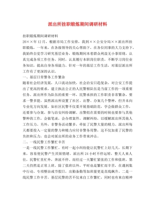 派出所挂职锻炼期间调研材料 