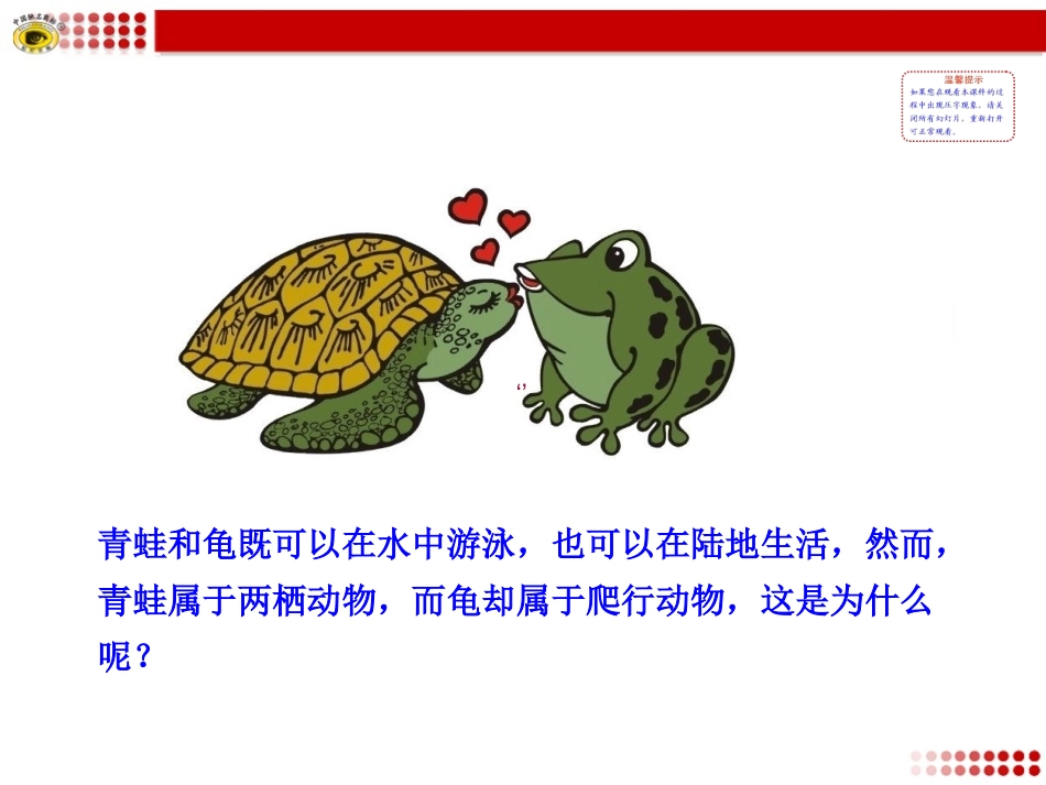 新人教版8年级上册第一章第五节_两栖动物和爬行动物_第2页