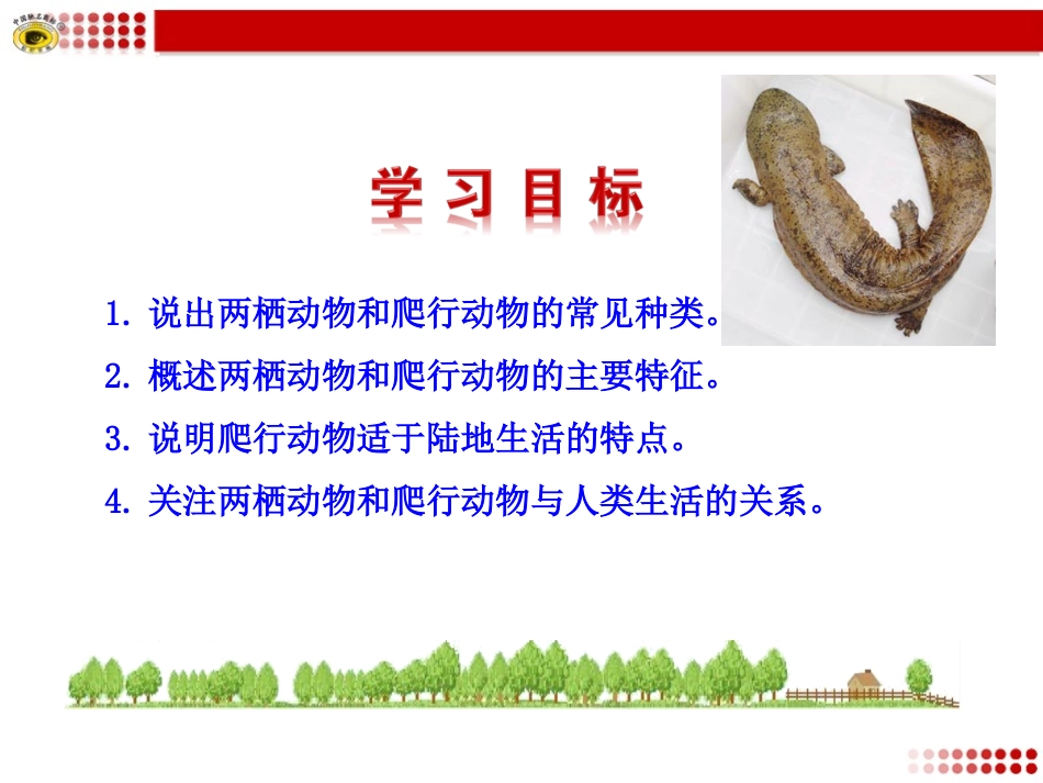 新人教版8年级上册第一章第五节_两栖动物和爬行动物_第3页