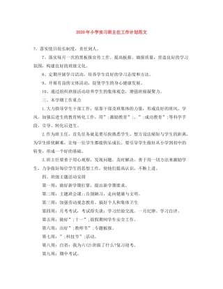 2020年小学实习班主任工作计划范文