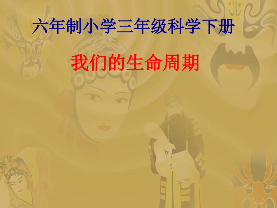 《我们的生命周期》课件_第1页
