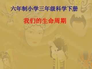 《我们的生命周期》课件