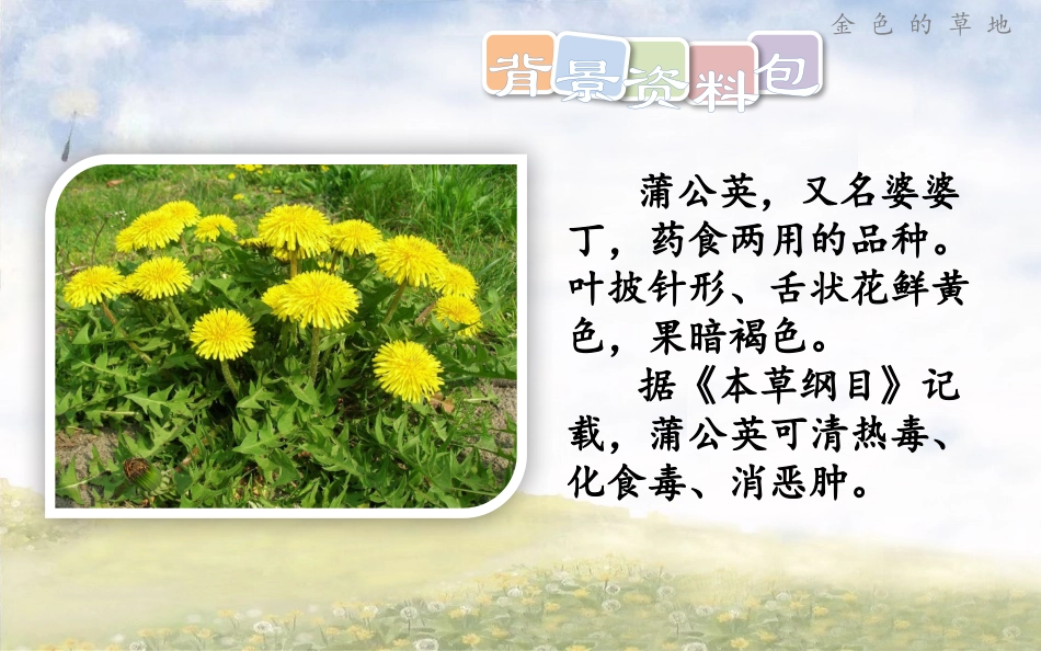 2018新部编版三年级上册《金色的草地》完整版公开课精品_第2页