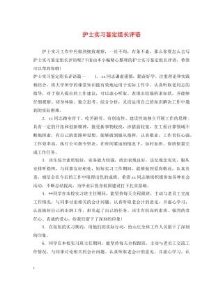 护士实习鉴定组长评语 